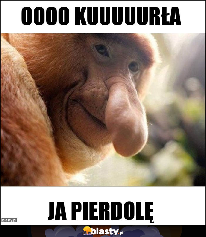 OOOO KUUUUURŁA OOOO KUUUUURŁA