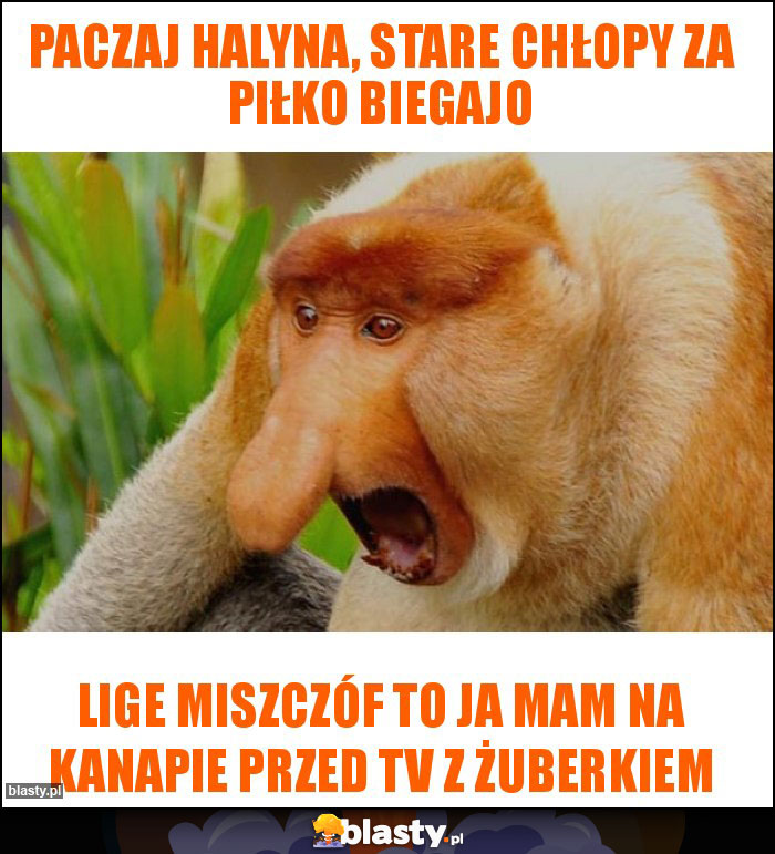 paczaj halyna, stare chłopy za piłko biegajo paczaj halyna, stare chłopy za piłko biegajo