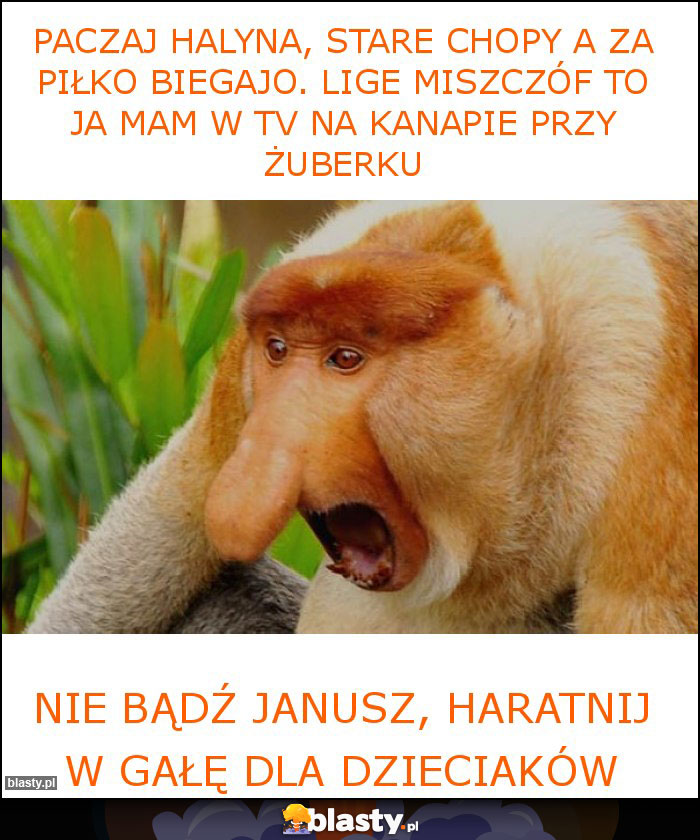 paczaj halyna, stare chopy a za piłko biegajo. lige miszczóf to ja mam w tv na kanapie przy żuberku paczaj halyna, stare chopy a za piłko biegajo. lige miszczóf to ja mam w tv na kanapie przy żuberku