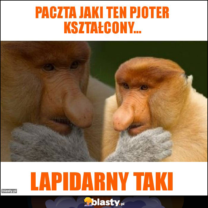 Paczta jaki ten PJOTER kształcony... Paczta jaki ten PJOTER kształcony...