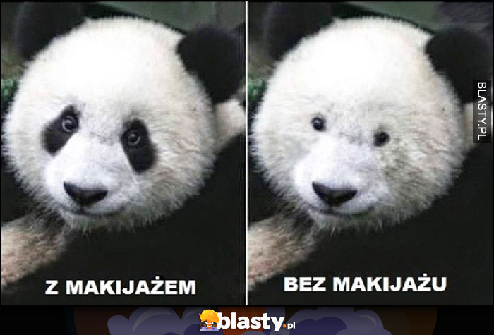 Panda z makijażem vs bez makijażu porównanie