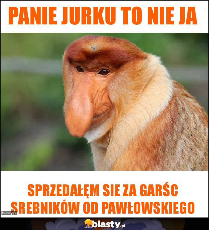 Panie Jurku to nie ja Panie Jurku to nie ja