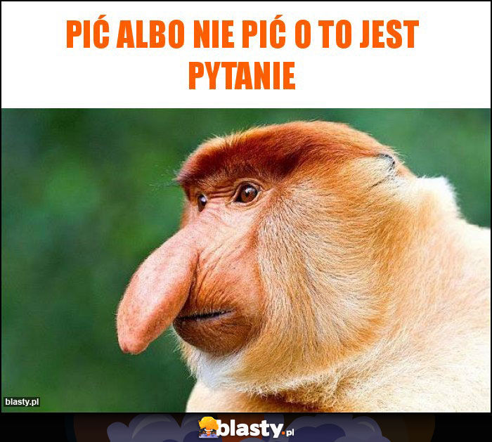 Pić albo nie pić o to jest pytanie Pić albo nie pić o to jest pytanie