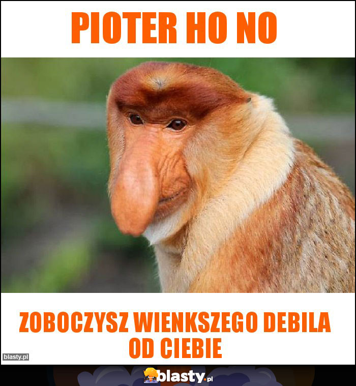 Pioter ho no Pioter ho no