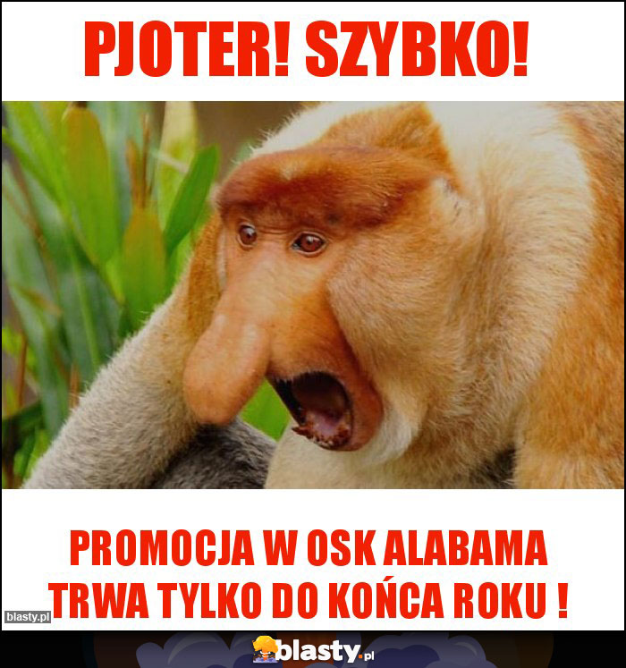 PJOTER! SZYBKO! PJOTER! SZYBKO!