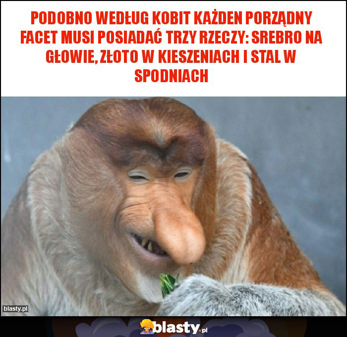 Podobno według kobit każden porządny facet musi posiadać trzy rzeczy: srebro na głowie, złoto w kieszeniach i stal w spodniach Podobno według kobit każden porządny facet musi posiadać trzy rzeczy: srebro na głowie, złoto w kieszeniach i stal w spodniach