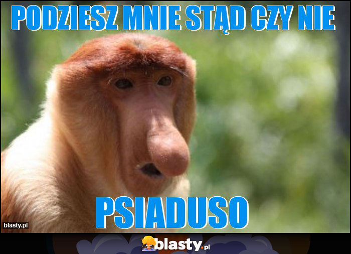 Podziesz mnie stąd czy nie Podziesz mnie stąd czy nie