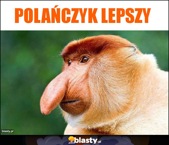 Polańczyk lepszy Polańczyk lepszy