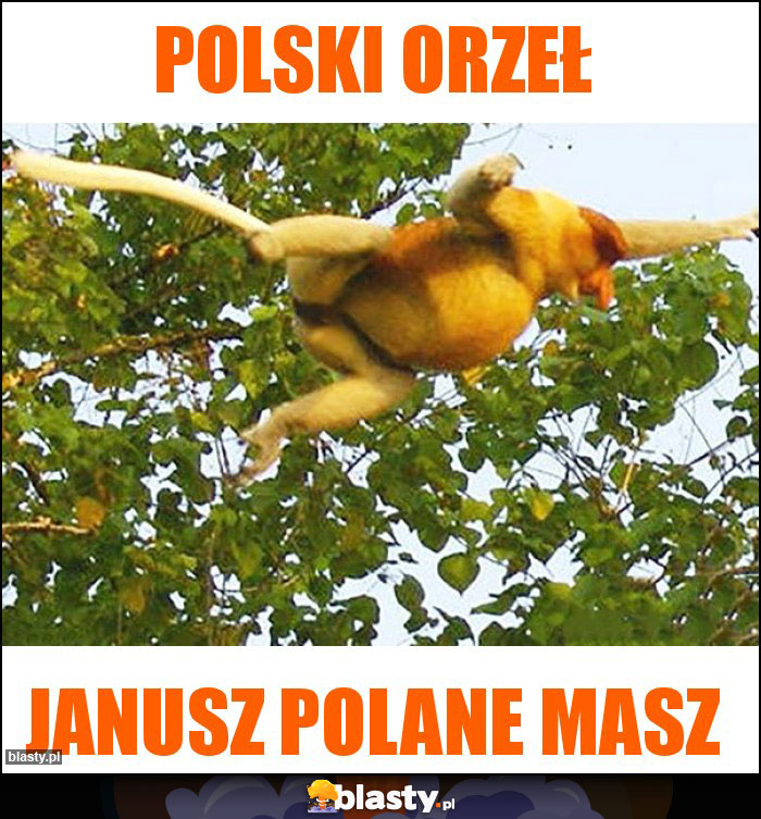 POLSKI ORZEŁ POLSKI ORZEŁ