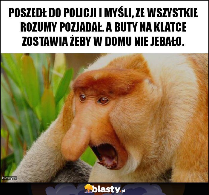 Poszedł do policji i myśli, ze wszystkie rozumy pozjadał. A buty na klatce zostawia żeby w domu nie jebało. Poszedł do policji i myśli, ze wszystkie rozumy pozjadał. A buty na klatce zostawia żeby w domu nie jebało.