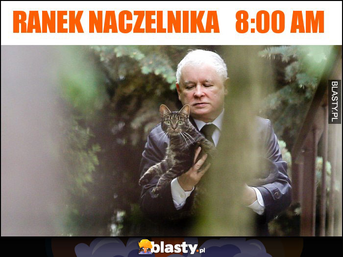 Ranek naczelnika 8:00 am Ranek naczelnika 8:00 am