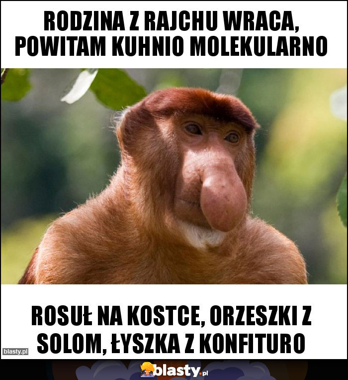 rodzina z rajchu wraca, powitam kuhnio molekularno rodzina z rajchu wraca, powitam kuhnio molekularno