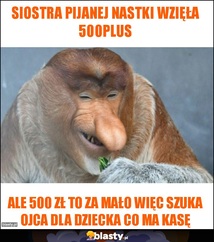 Siostra pijanej nastki wzięła 500plus Siostra pijanej nastki wzięła 500plus