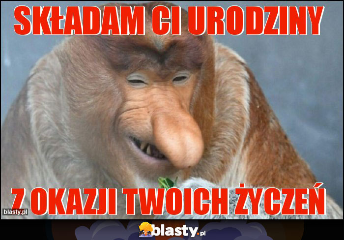Składam ci urodziny Składam ci urodziny