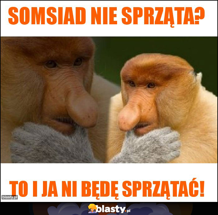 Somsiad nie sprząta? Somsiad nie sprząta?