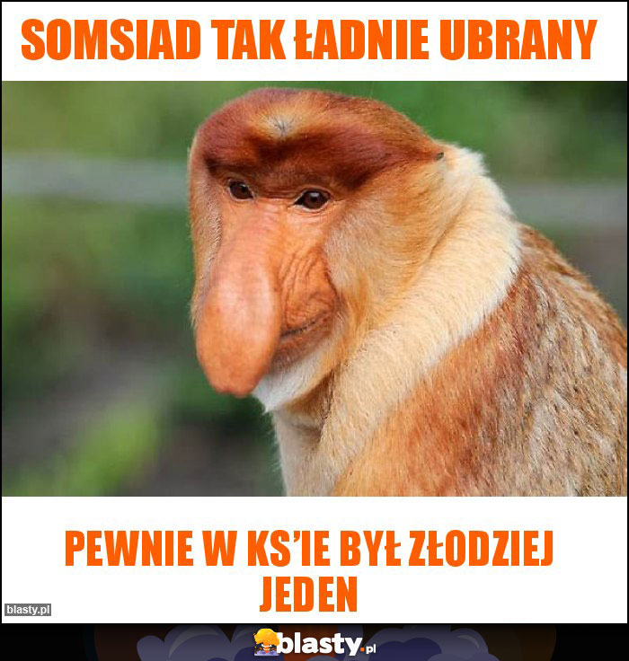 Somsiad tak ładnie ubrany Somsiad tak ładnie ubrany
