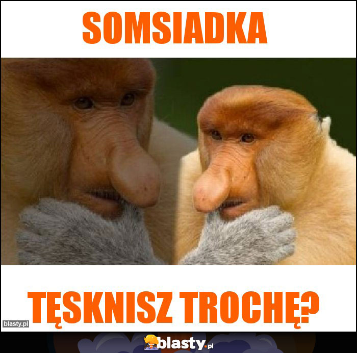 SOMSIADKA