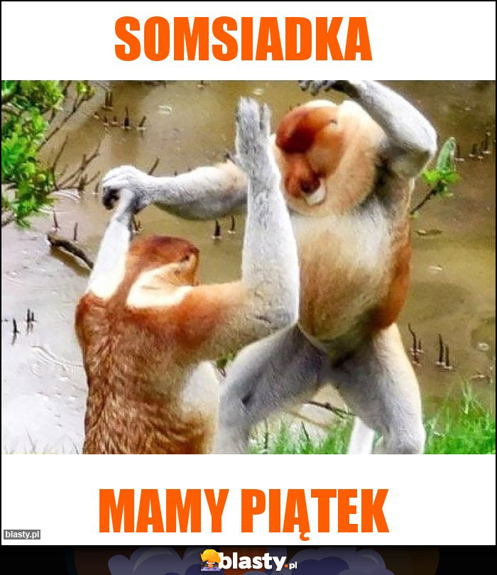somsiadka