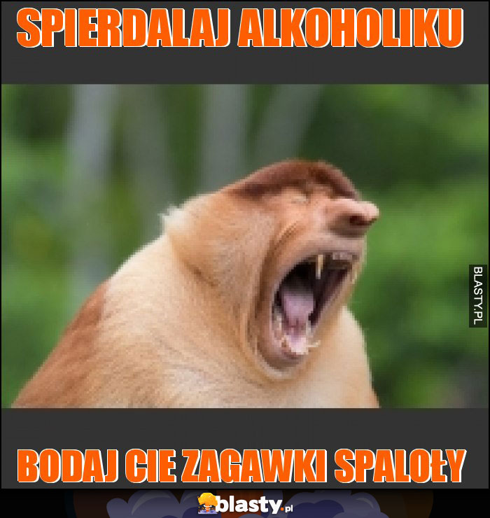 Spierdalaj alkoholiku Spierdalaj alkoholiku