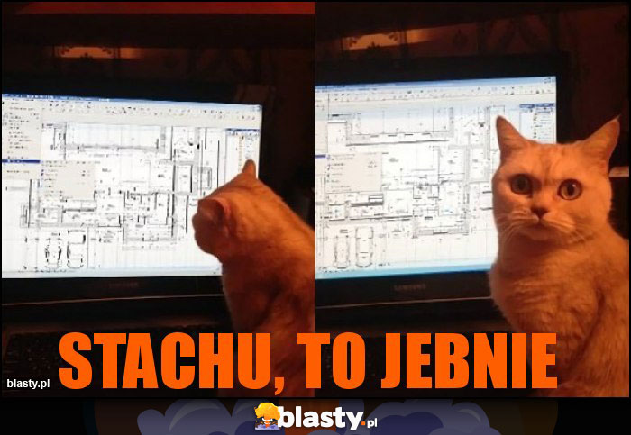 stachu, to jebnie stachu, to jebnie