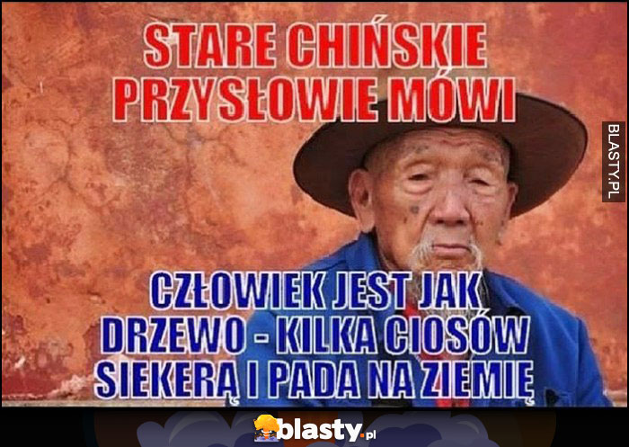 Stare chińskie przysłowie mówi człowiek jest jak drzewo - kilka ciosów siekierą i pada na ziemię