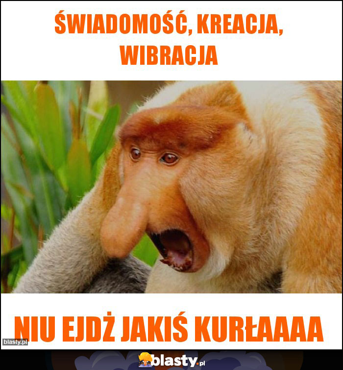 Świadomość, kreacja, wibracja Świadomość, kreacja, wibracja