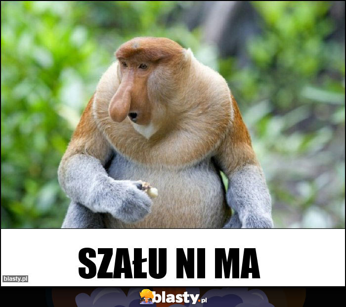 Szału ni ma Szału ni ma