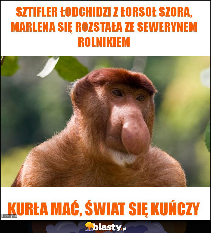 Sztifler łodchidzi z łorsoł szora, Marlena się rozstała ze sewerynem rolnikiem Sztifler łodchidzi z łorsoł szora, Marlena się rozstała ze sewerynem rolnikiem
