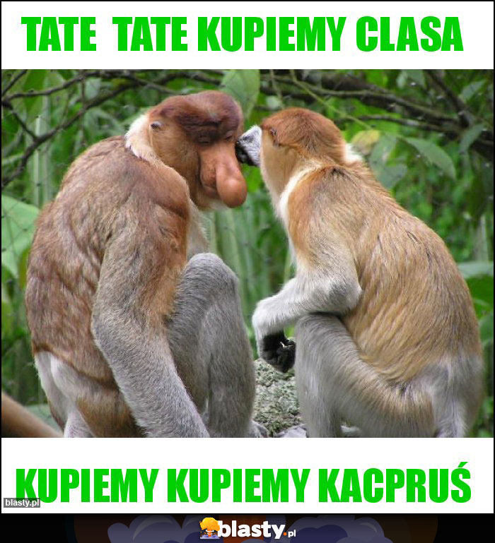Tate tate kupiemy clasa Tate tate kupiemy clasa