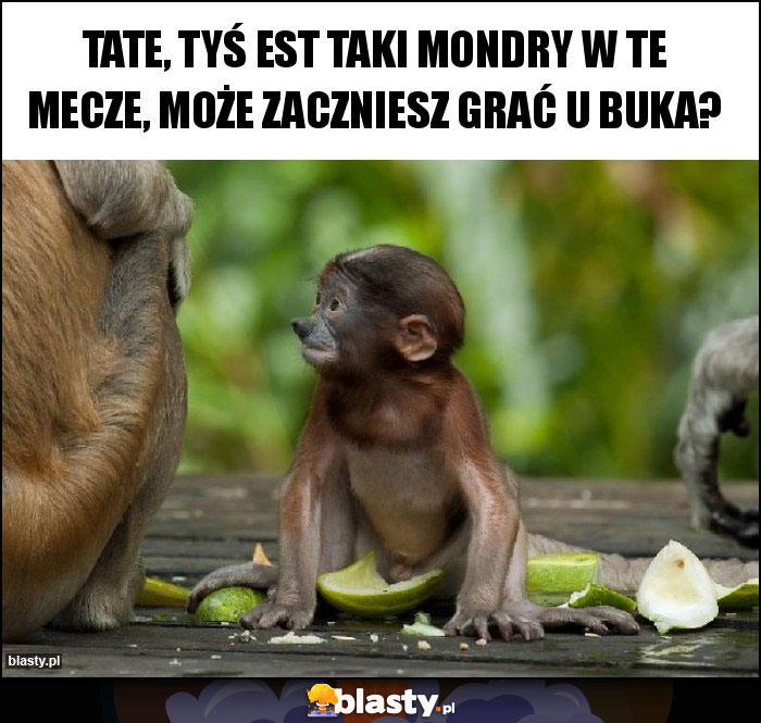 Tate, Tyś EST TAKI MONDRY W TE MECZE, MOŻE ZACZNIESZ GRAĆ U BUKA? Tate, Tyś EST TAKI MONDRY W TE MECZE, MOŻE ZACZNIESZ GRAĆ U BUKA?