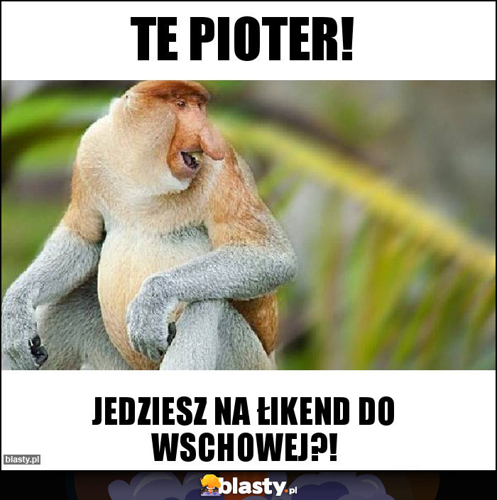 Te Pioter! Te Pioter!
