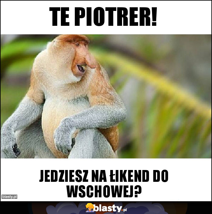 Te Piotrer! Te Piotrer!