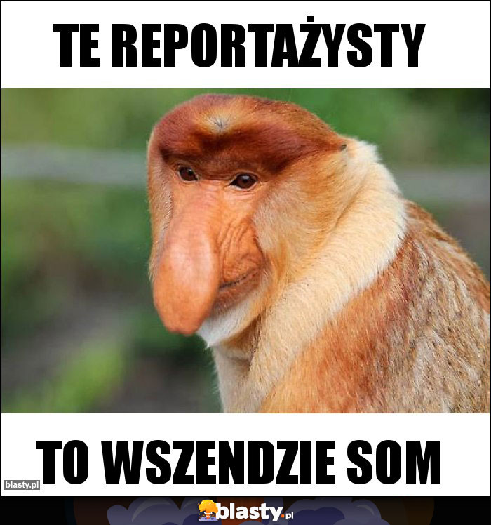 Te reportażysty Te reportażysty