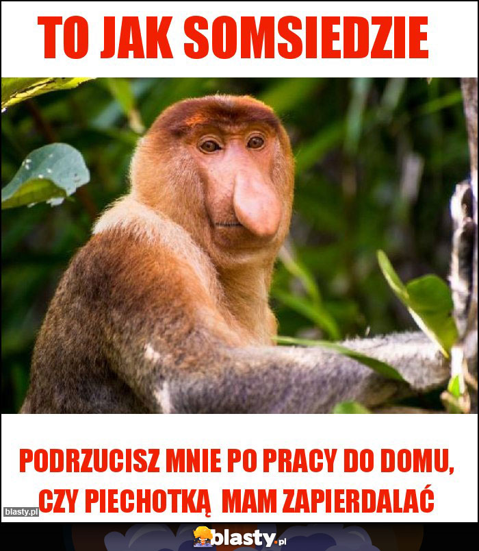 TO JAK SOMSIEDZIE TO JAK SOMSIEDZIE