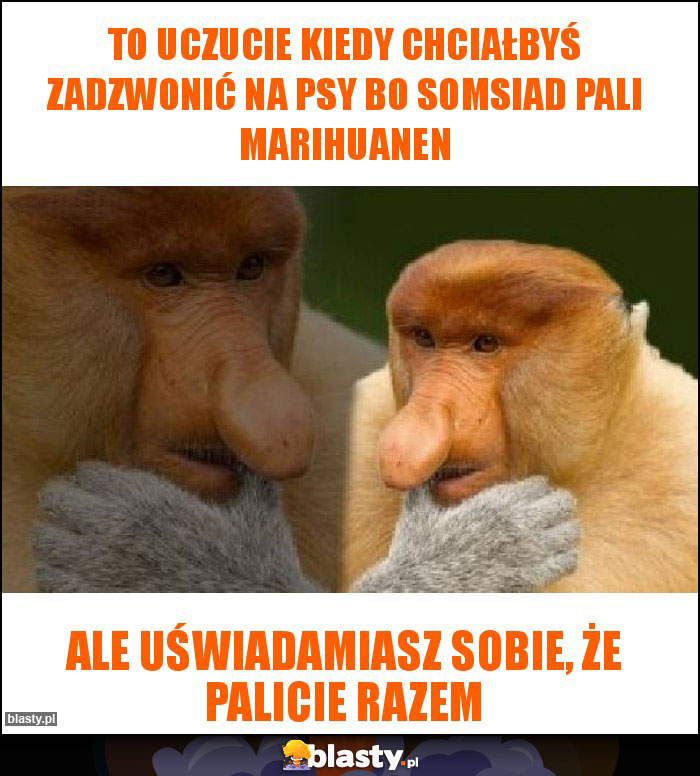 To uczucie kiedy chciałbyś zadzwonić na psy bo somsiad pali marihuanen To uczucie kiedy chciałbyś zadzwonić na psy bo somsiad pali marihuanen