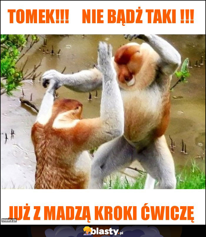 Tomek!!! Nie bądż taki !!! Tomek!!! Nie bądż taki !!!