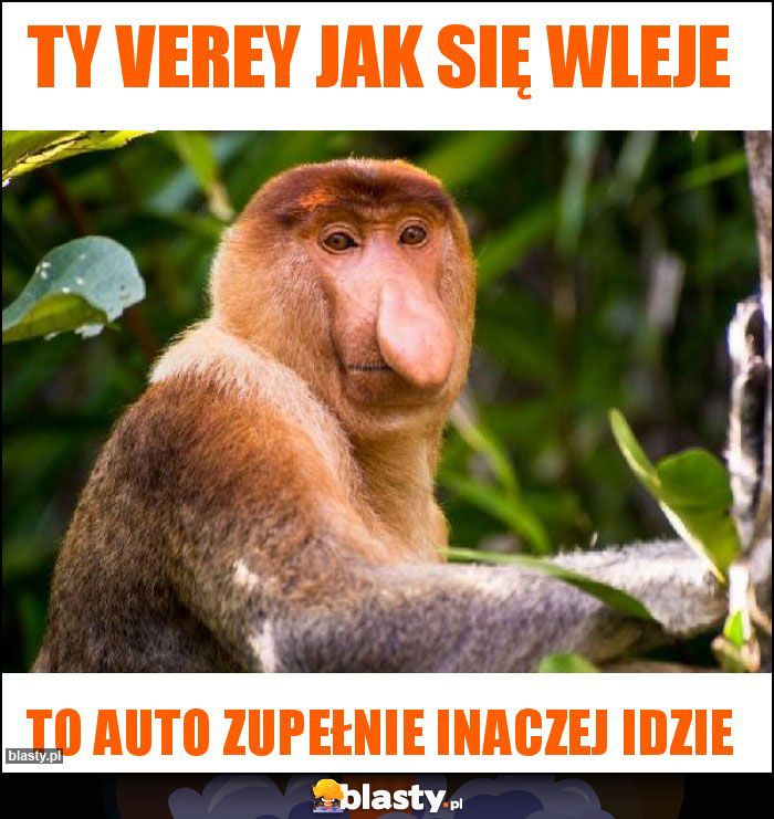 TY VEREY JAK SIĘ WLEJE TY VEREY JAK SIĘ WLEJE