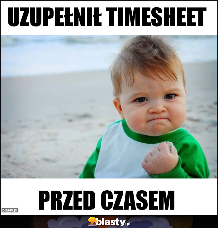 Uzupełnił Timesheet Uzupełnił Timesheet