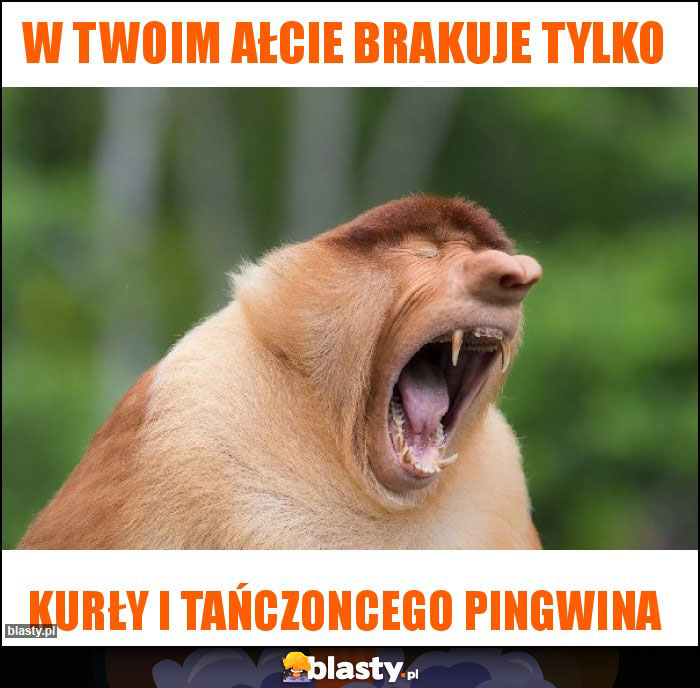 W twoim ałcie brakuje tylko W twoim ałcie brakuje tylko