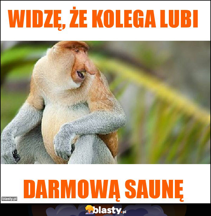 Widzę, że kolega lubi Widzę, że kolega lubi