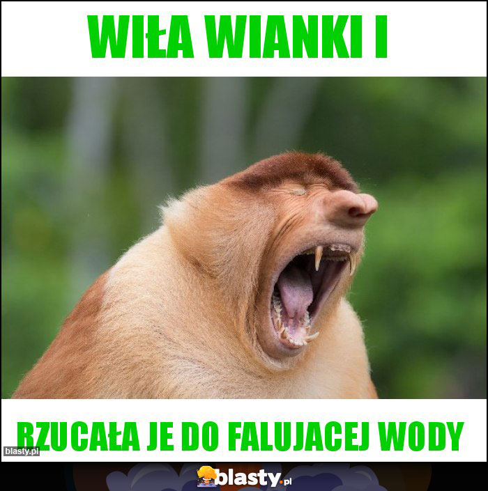 Wiła wianki i Wiła wianki i