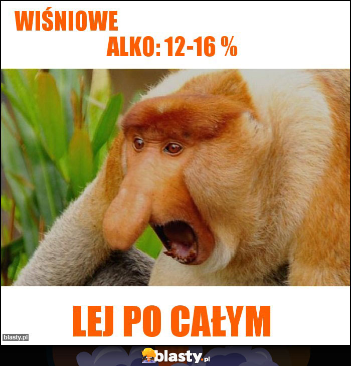 Wiśniowe Alko: 12-16 % Wiśniowe Alko: 12-16 %
