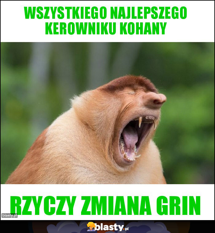 WSZYSTKIEGO NAJLEPSZEGO KEROWNIKU KOHANY WSZYSTKIEGO NAJLEPSZEGO KEROWNIKU KOHANY