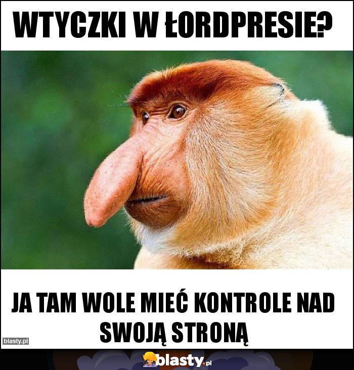 Wtyczki w łordpresie? Wtyczki w łordpresie?
