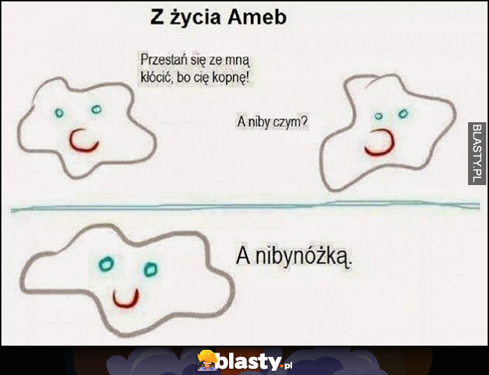 Z życia ameb, przestań się ze mną kłócić, bo Cię kopnę, a niby czym? A nibynóżką