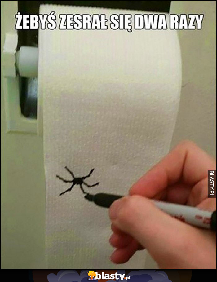 Żebyś zesrał się dwa razy pająk narysowany na papierze toaletowym
