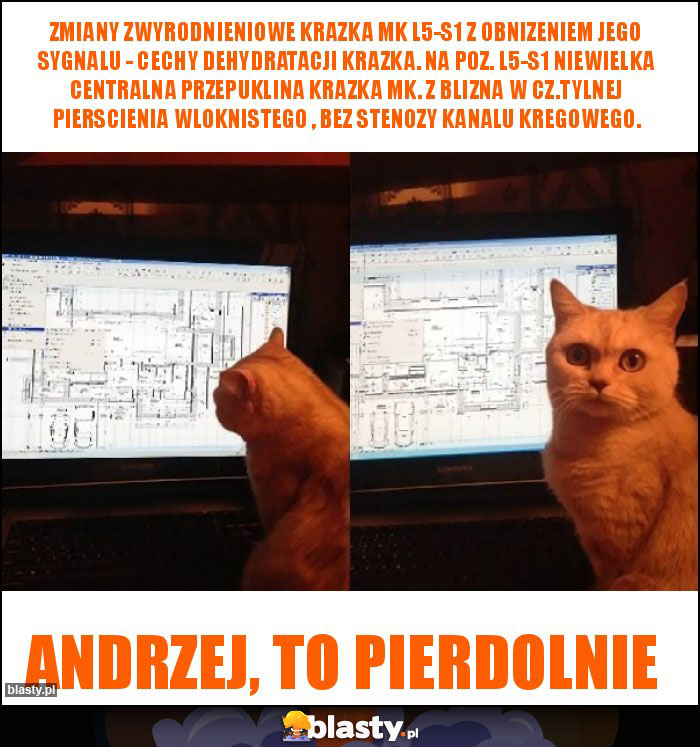 Zmiany zwyrodnieniowe krazka mk L5-S1 z obnizeniem jego sygnalu - cechy dehydratacji krazka. Na poz. L5-S1 niewielka centralna przepuklina krazka mk. z blizna w cz.tylnej pierscienia wloknistego , bez stenozy kanalu kregowego. Zmiany zwyrodnieniowe krazka mk L5-S1 z obnizeniem jego sygnalu - cechy dehydratacji krazka. Na poz. L5-S1 niewielka centralna przepuklina krazka mk. z blizna w cz.tylnej pierscienia wloknistego , bez stenozy kanalu kregowego.