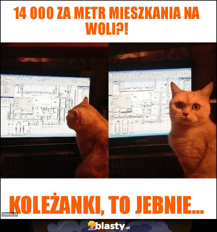 14 000 za metr mieszkania na Woli?! 14 000 za metr mieszkania na Woli?!