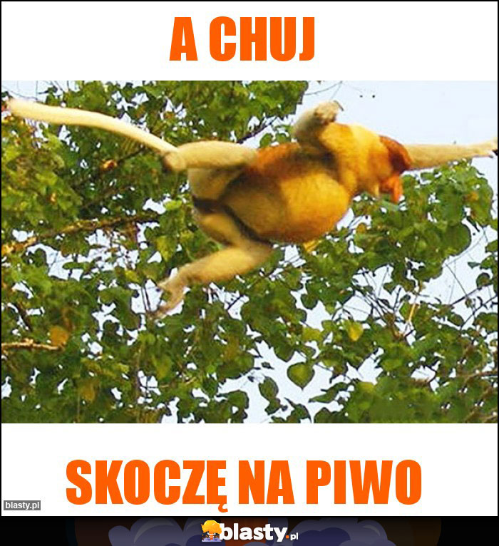 A chuj
