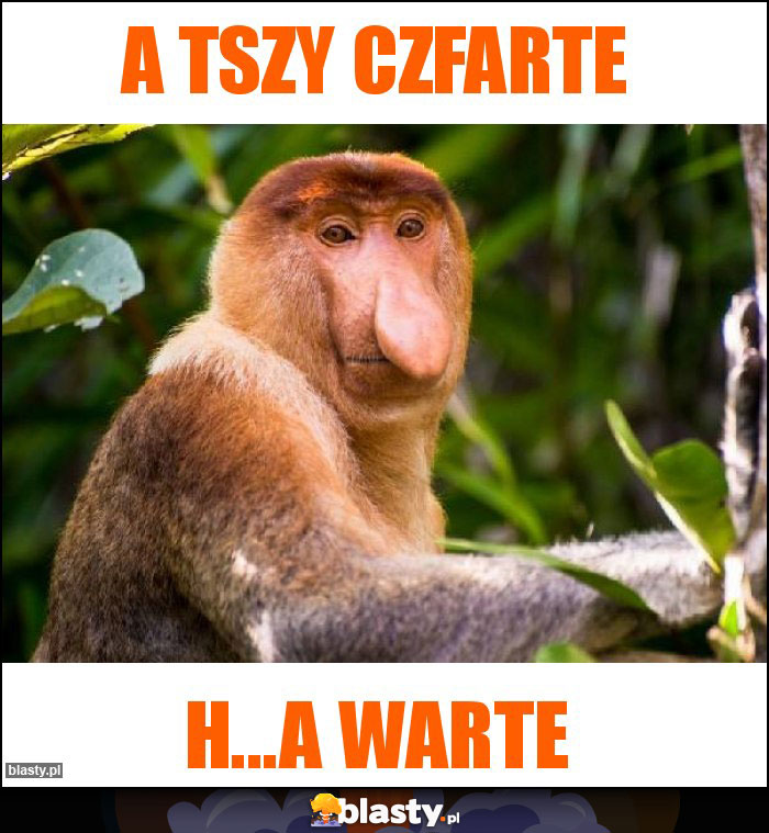 a tszy czfarte a tszy czfarte